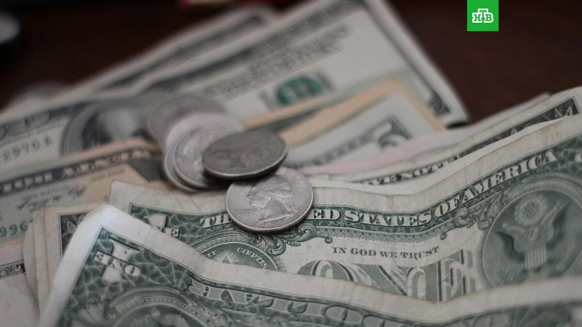    Фото: Mathieu Turle / unsplash.com