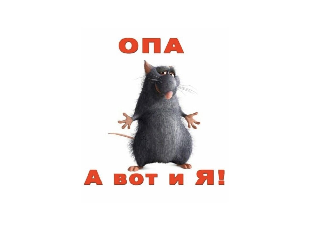Яндекс картинки
