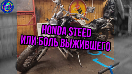 Каково обслуживать HONDA STEED в 2024