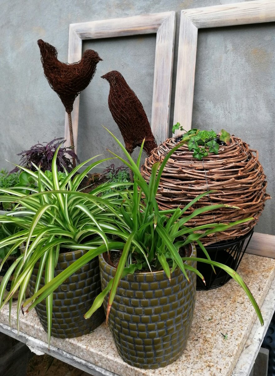 Керамические горшки можно считать безусловно хорошим декором. 2024