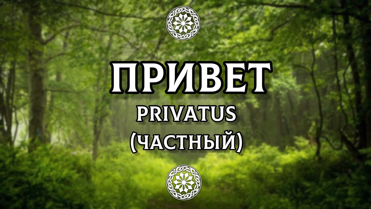 Как здоровались наши предки?Почему на Руси не говорили ПРИВЕТ? Раскрываем  смыслы приветственных слов. | ОСОЗНАНКА | Дзен