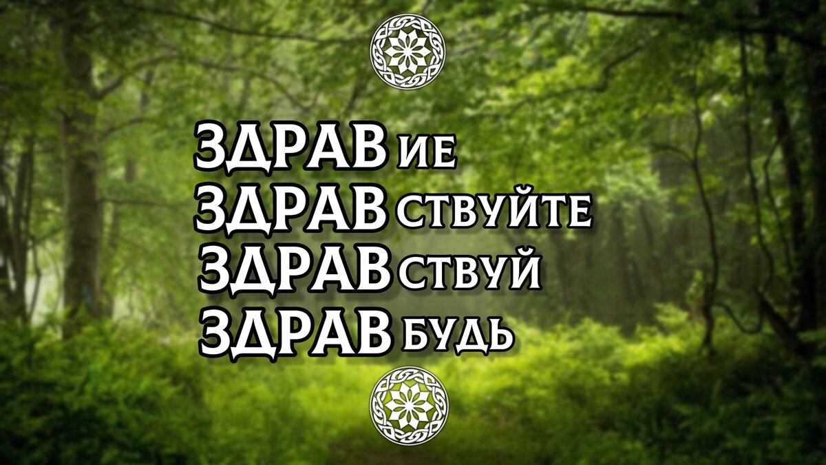 Как здоровались наши предки?Почему на Руси не говорили ПРИВЕТ? Раскрываем  смыслы приветственных слов. | ОСОЗНАНКА | Дзен