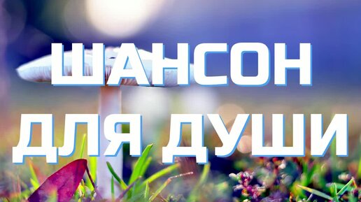 #136. 💎СЛУШАТЬ 🌻 ШАНСОН ДЛЯ ДУШИ 2024 | ШИКАРНЫЙ РУССКИЙ ШАНСОН | ШАНСОН 2024