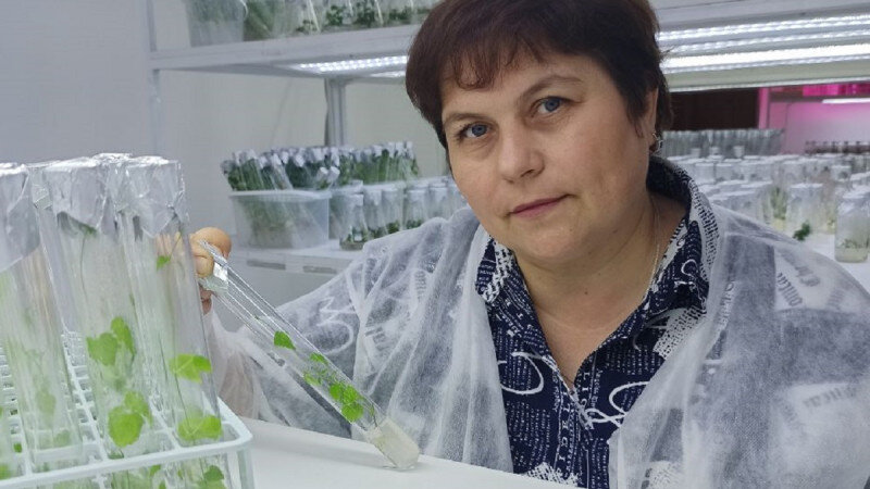     Директор Алтайского центра прикладной биотехнологии Ольга Мироненко Предоставлено Алтайским центром прикладной биотехнологии