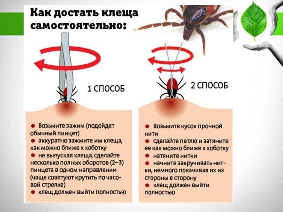 Новые правила счетчиков: найдено 87 изображений