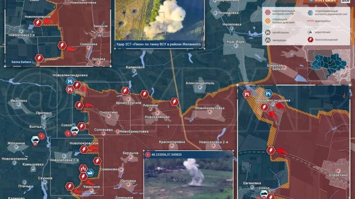 Фото: телеграм-канал "Рыбарь"
