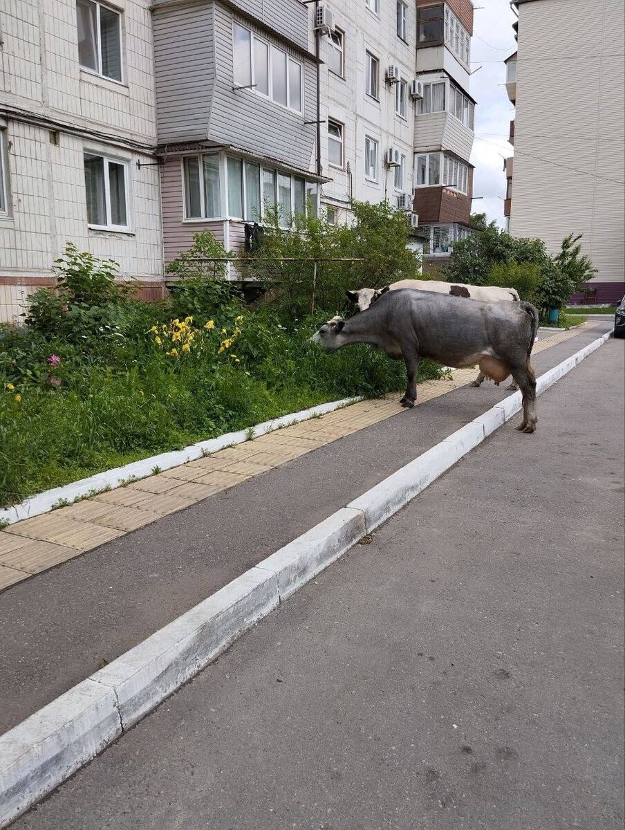     Источник: mark2_chee