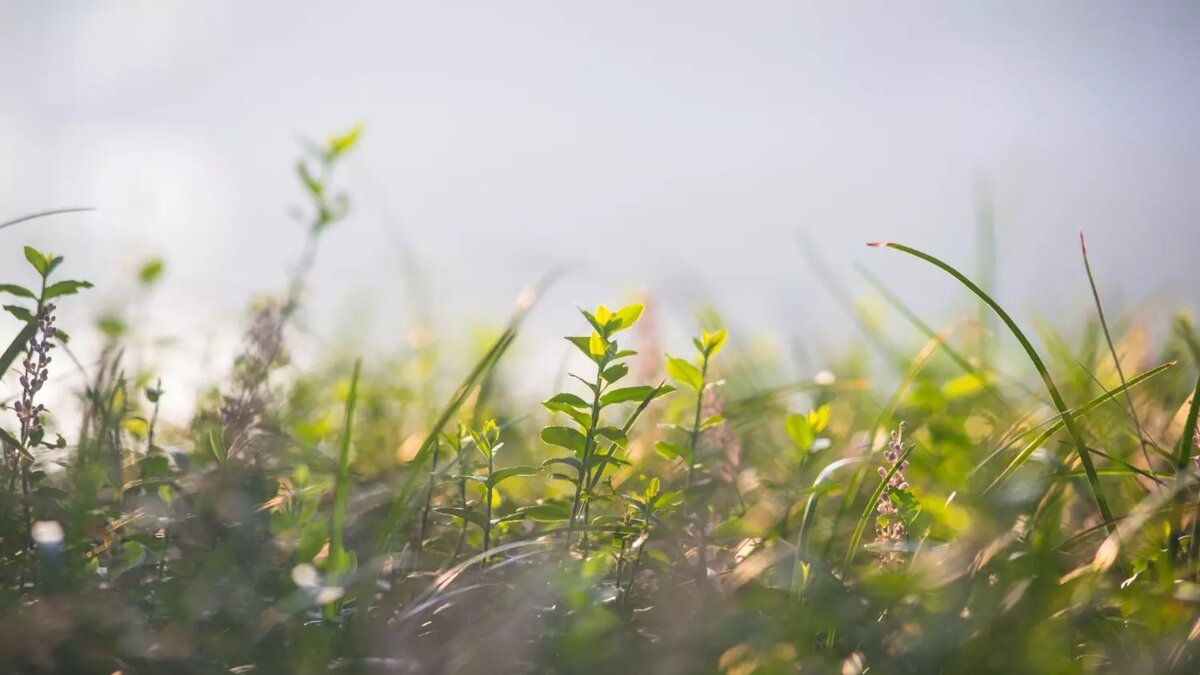     Источник: FreePik