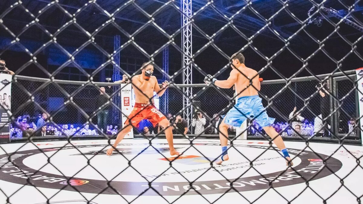     Источник: gorod55.ru