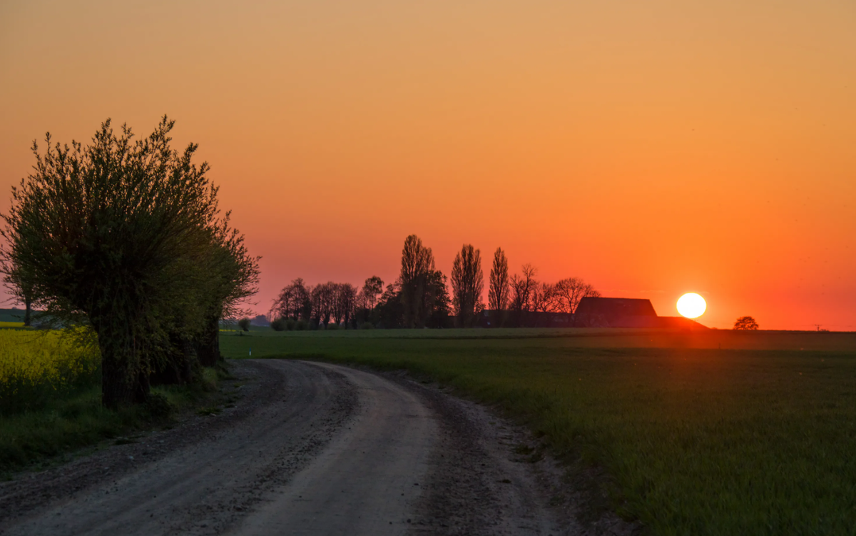 Яндекс картинки