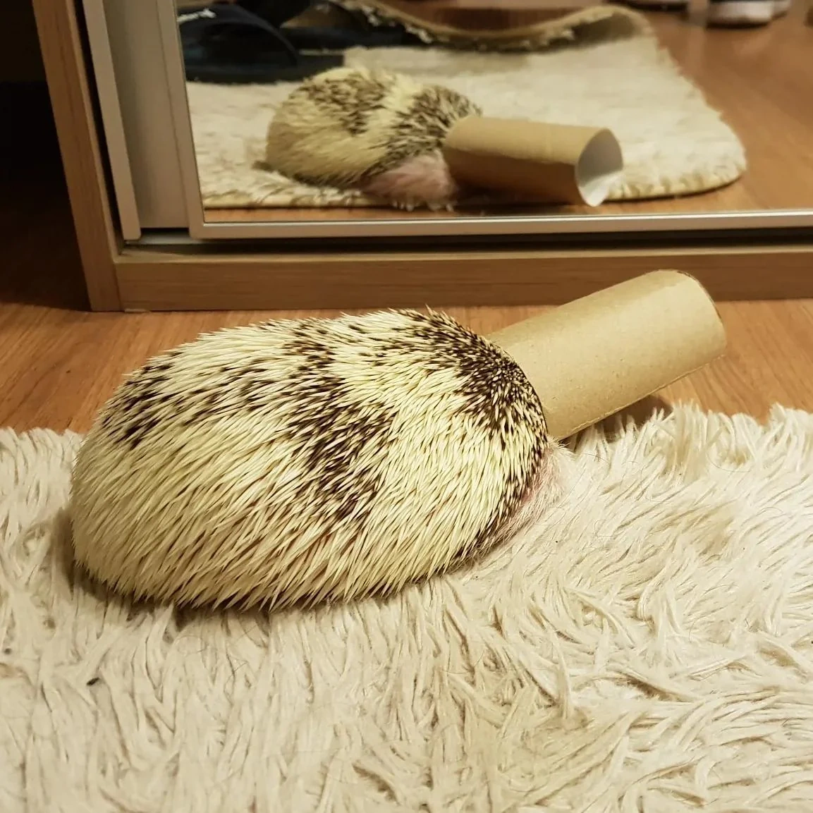    Спрятался и думает, что его не видно.