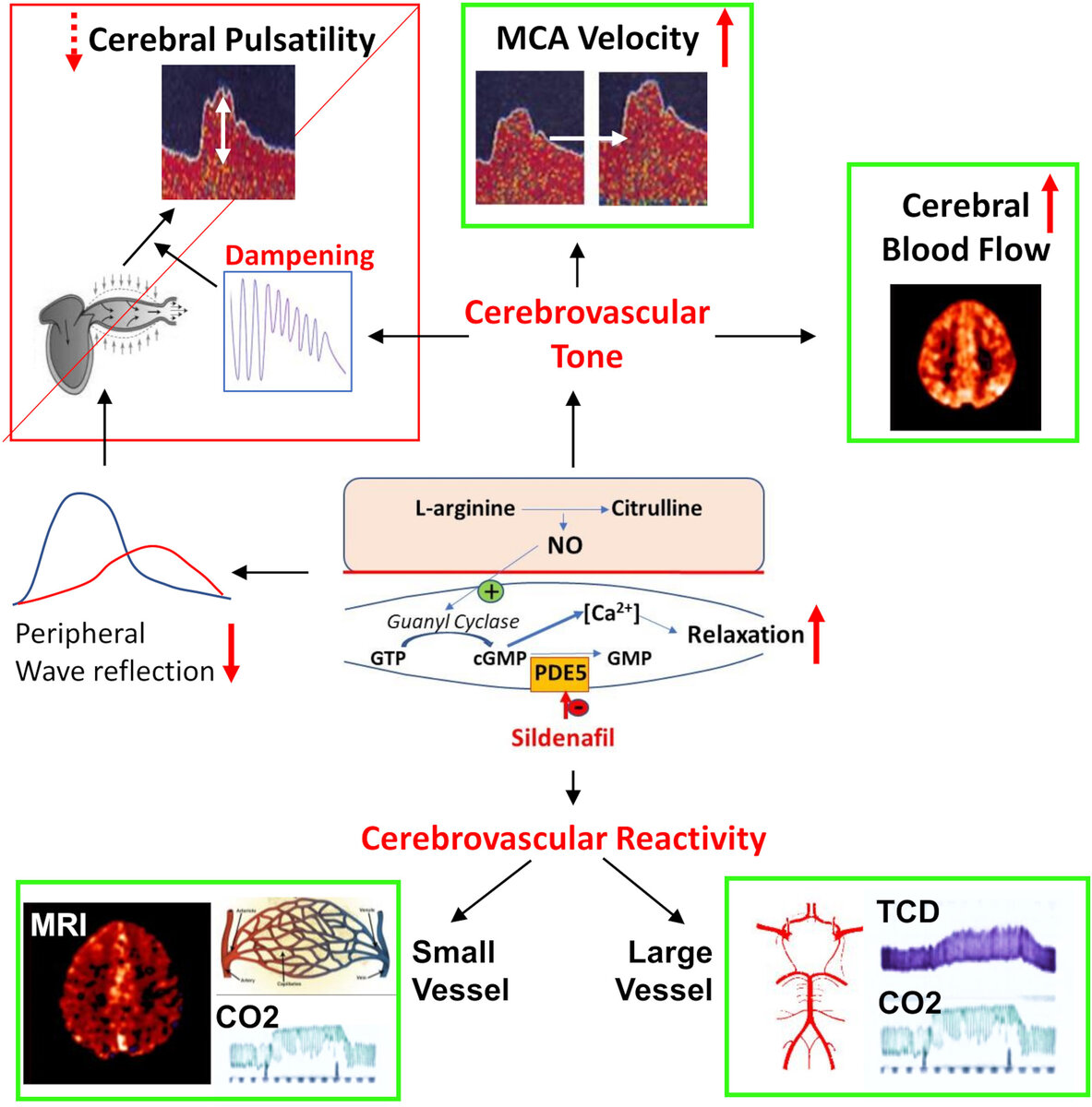   Alastair J.S. Webb et al. / Circulation Research, 2024
