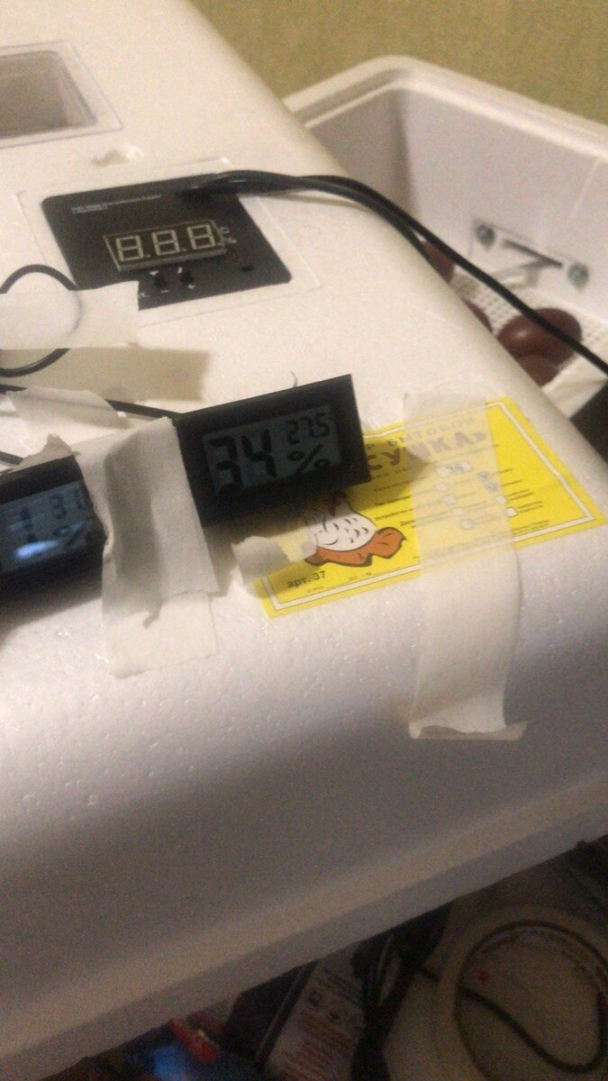 Мой инкубатор