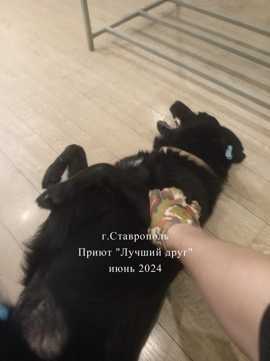 -2