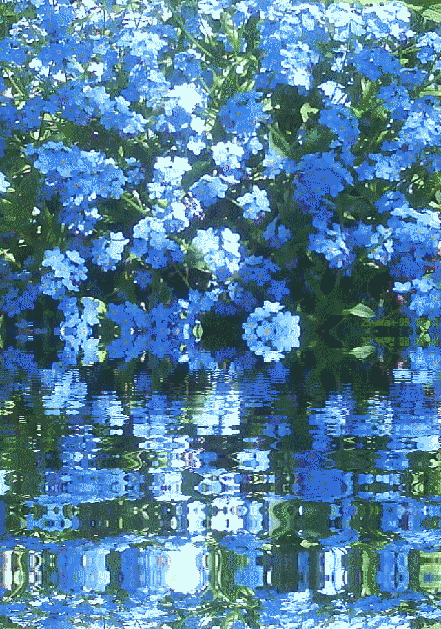 Фото: Яндекс картинки