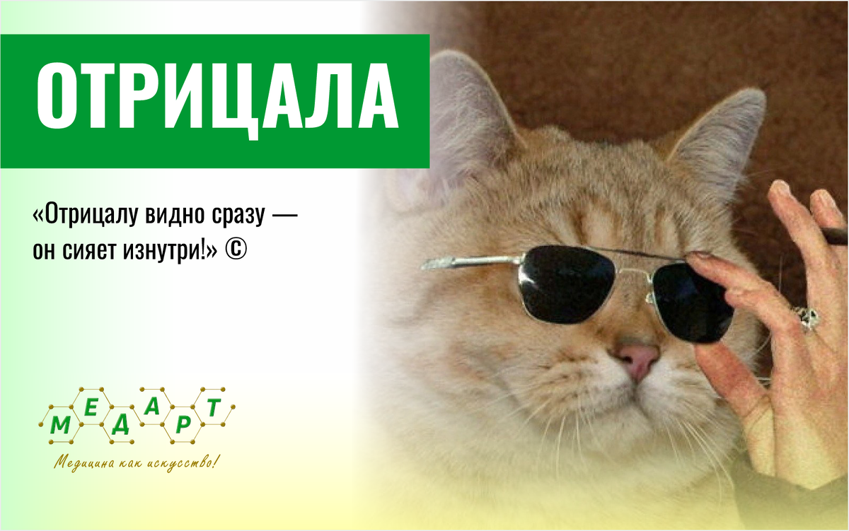 Фото из сети интернет