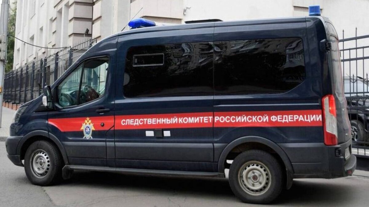    СК возбудил дело из-за избиения 16-летней девочки в СаратовеНовости Саратова и области – Сетевое издание «Репортер64»