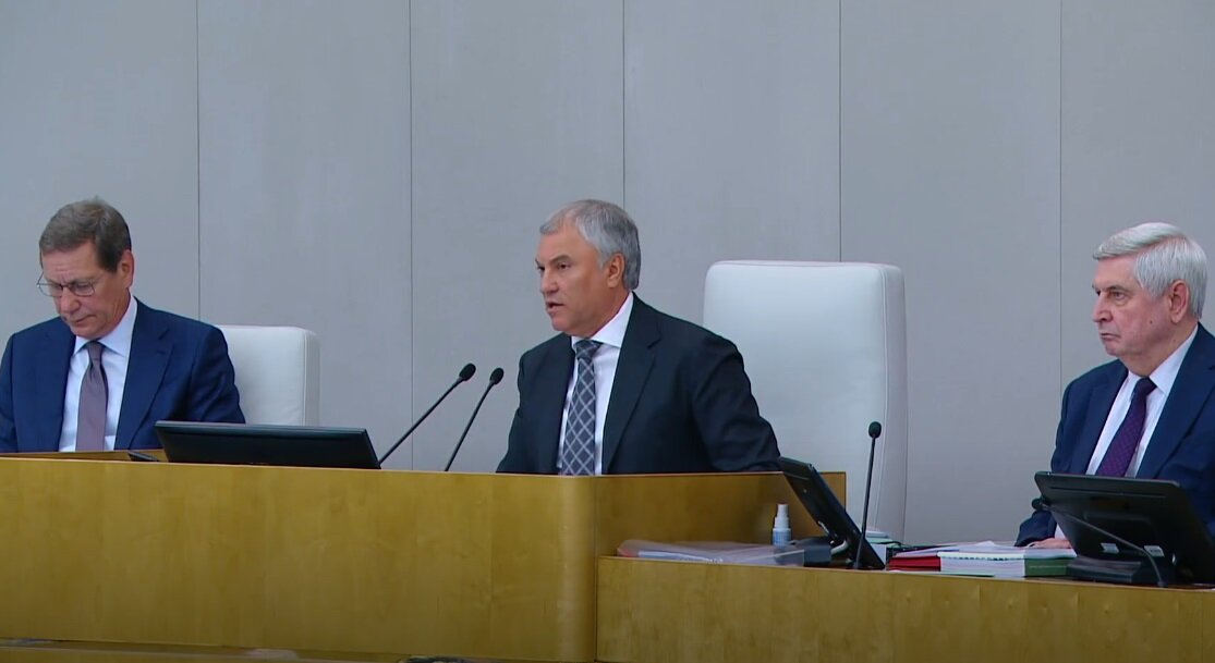 скриншот выступления Володина на пленарном заседании