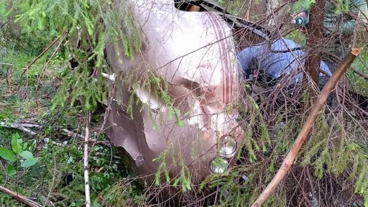    Фото: 112 / Telegram