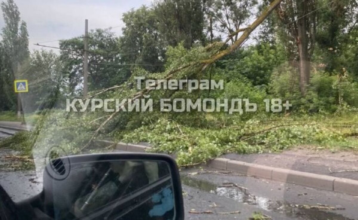    Куряне делятся в социальных сетях кадрами последствий вчерашнего шторма