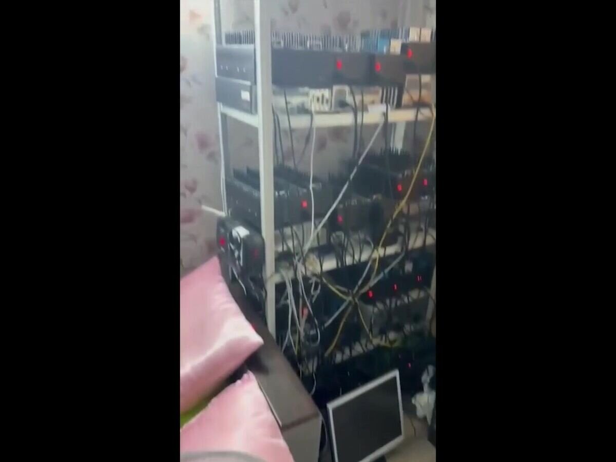    Задержание в Хабаровске "администраторов" за "ферму" с двумя тысячами sim-карт© РИА Новости