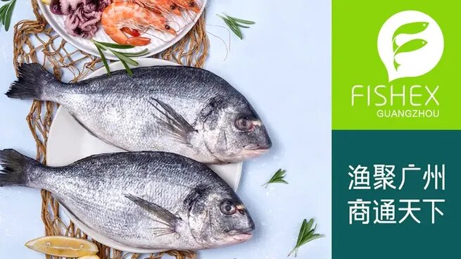 China International (Guangzhou) Fishery & Seafood Expo (FISHEX) 2024 