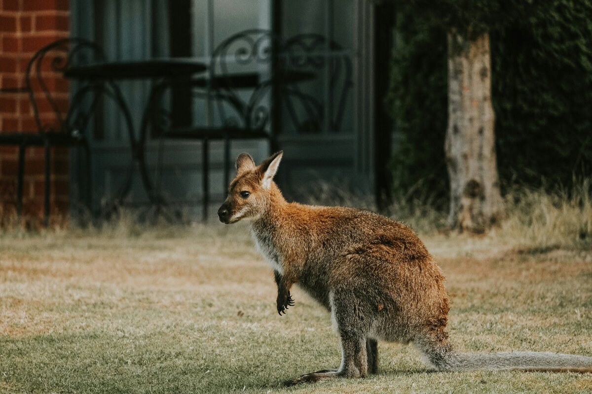 Картинка с бесплатного фотостока https://unsplash.com, автор Valeriia Miller