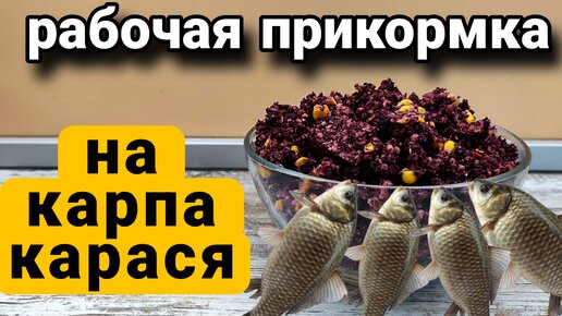 Ловим ту рыбу, которая нарисована на пачке! Фидерная рыбалка поздней осенью. - Y