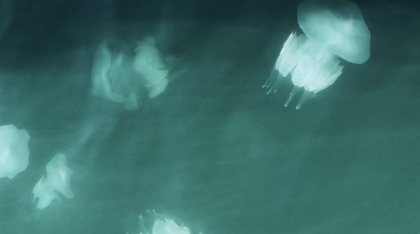 Фото: Нина Кочубей