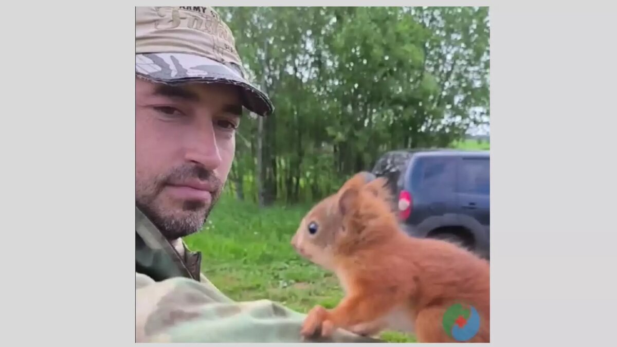     Источник: скриншот видео/минприроды УР