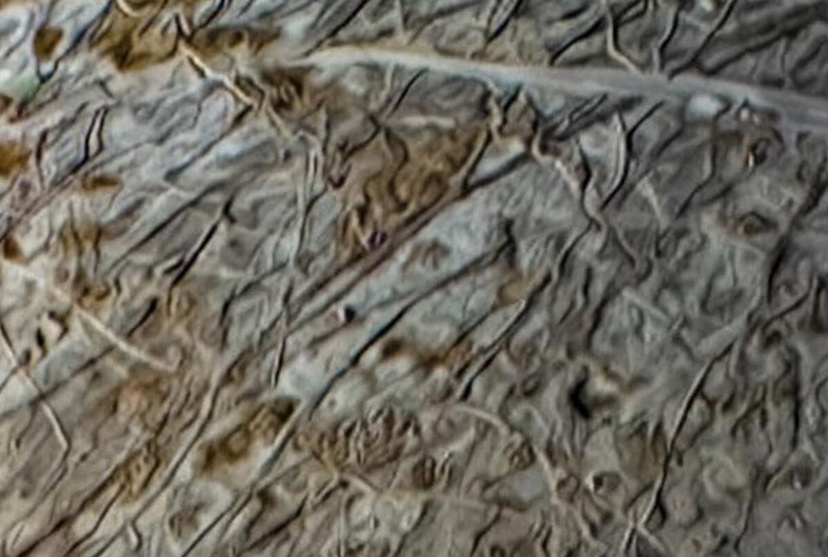 SFERA – Pro Космос – Поставьте лайк...