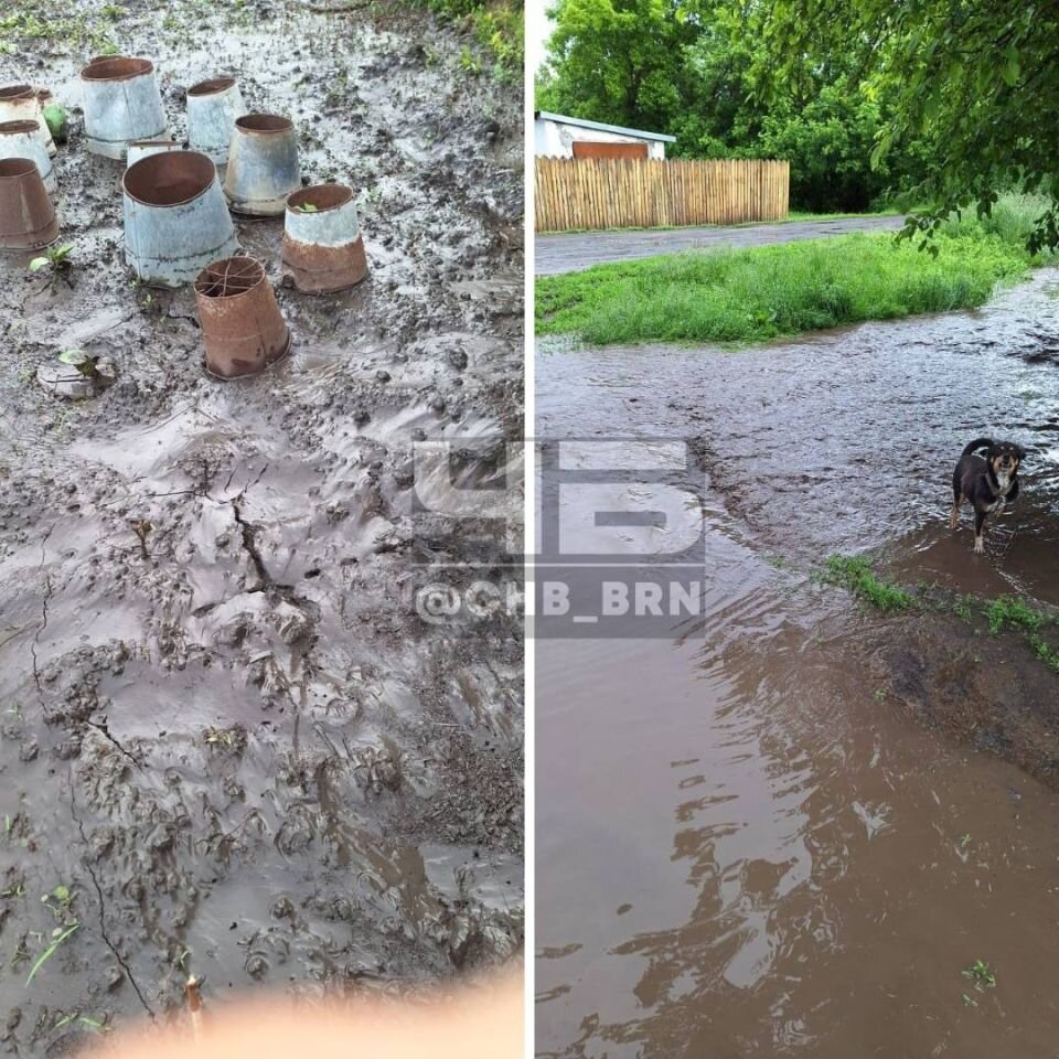    Потоп в селе Чистюнька. Источник: t.me/chb_brn