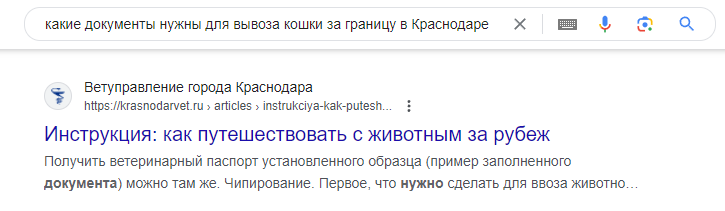 Скриншот моего поиска в интернете