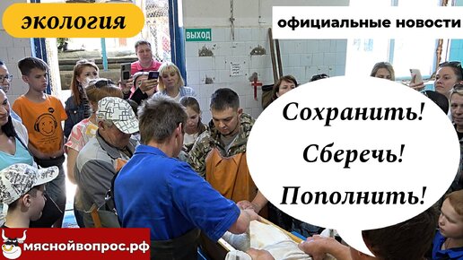 Как помочь осетрам?