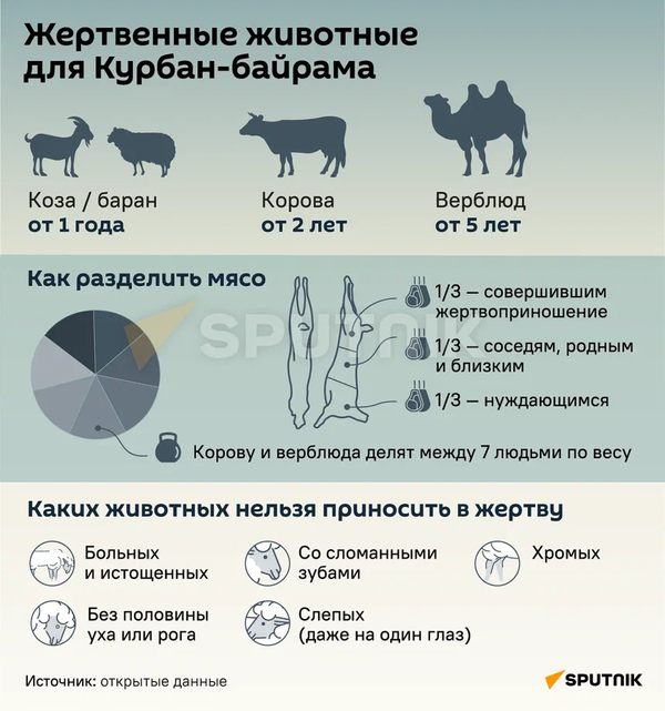 Соломенное счастье. Как сплести барашка из сена