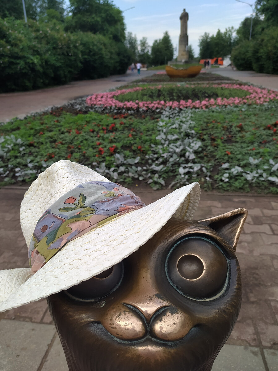 Кот в сквере Сусанина. Копилка на помощь приюту для животных