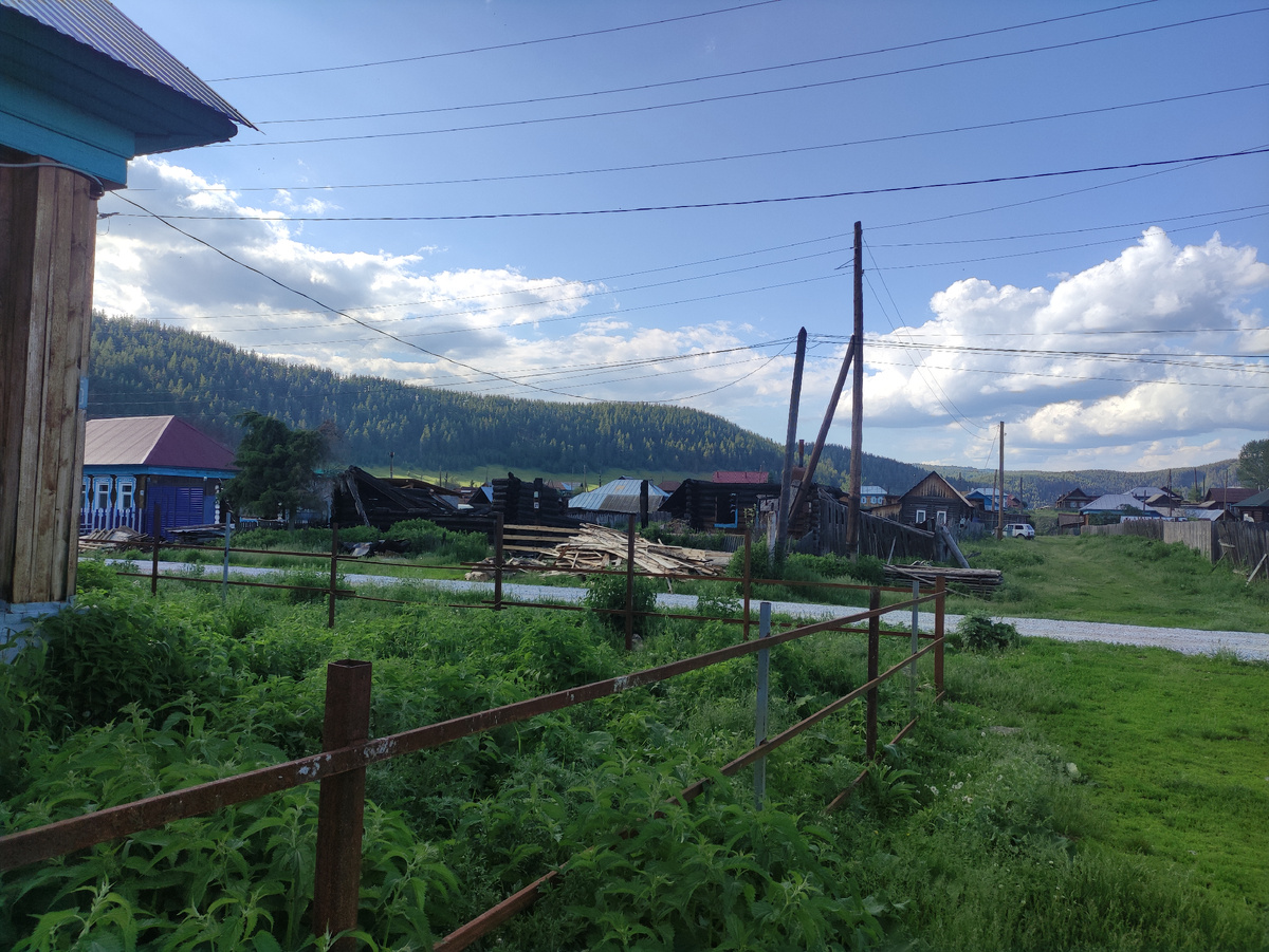 Типичные среднероссийские джунгли перед домом. Фото автора