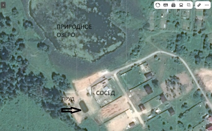 Пруд на нашем участке, сделанный соседом, когда участок еще не был размежёван