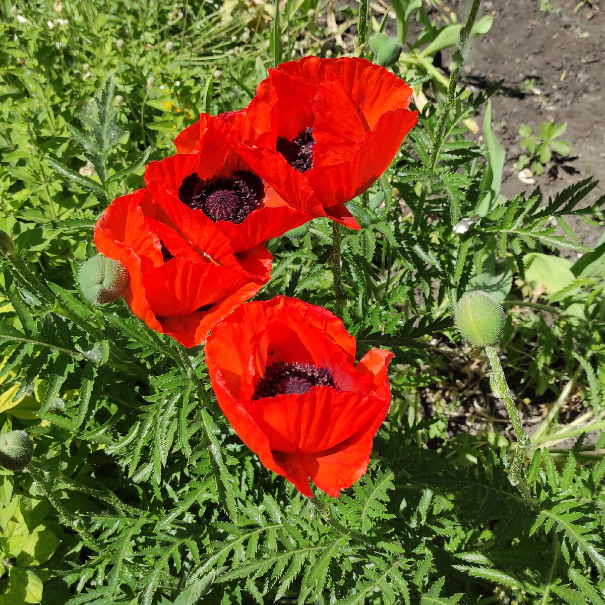 Фото из личного архива