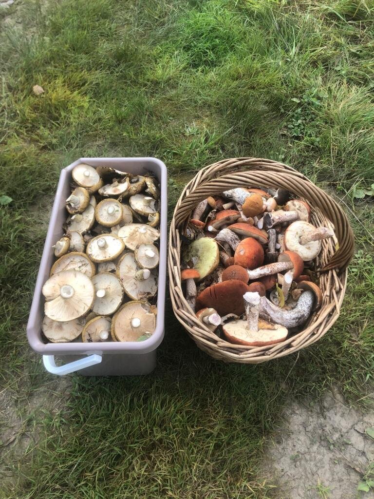 Автор фото Татьяна Рябкина