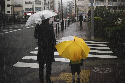    Фото: rawpixel.com/freepik.com