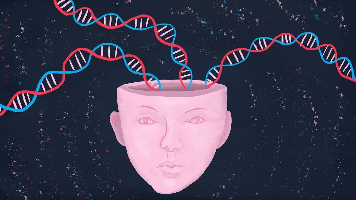 Генетика интеллект передается. Генетическая память. днк память. генетика в психологии. мозг днк.