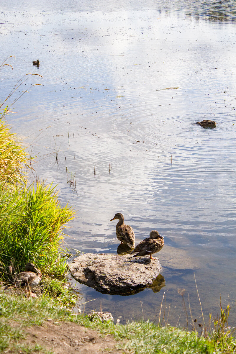 Фото из личного архива