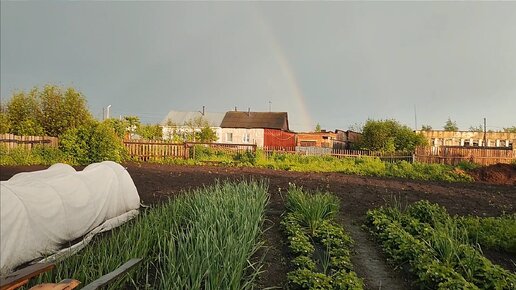 Деревенская жизнь простых людей 🏡 Хозяйство, свиньи, наши планы!