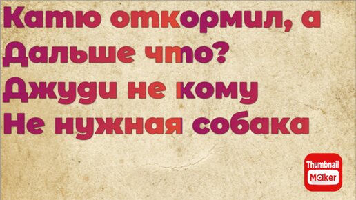 Всё в кучу. Катю откормил,а что дальше? Джуди не кому не нужная собака