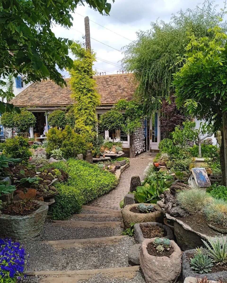    Соцсети ландшафтного дизайнера 01alina_jardin