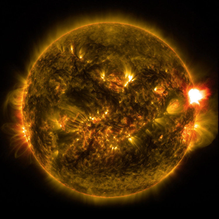 Солнце - плазменный шар. Яндекс картиник