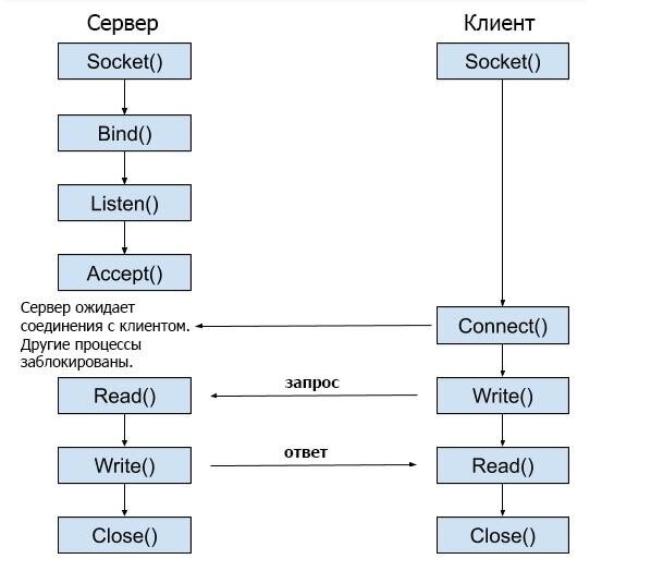 Java – перспективный язык программирования. Он позволяет создавать программное обеспечение разных типов и может применяться для того, чтобы писать полноценные клиент-серверные модели.-2