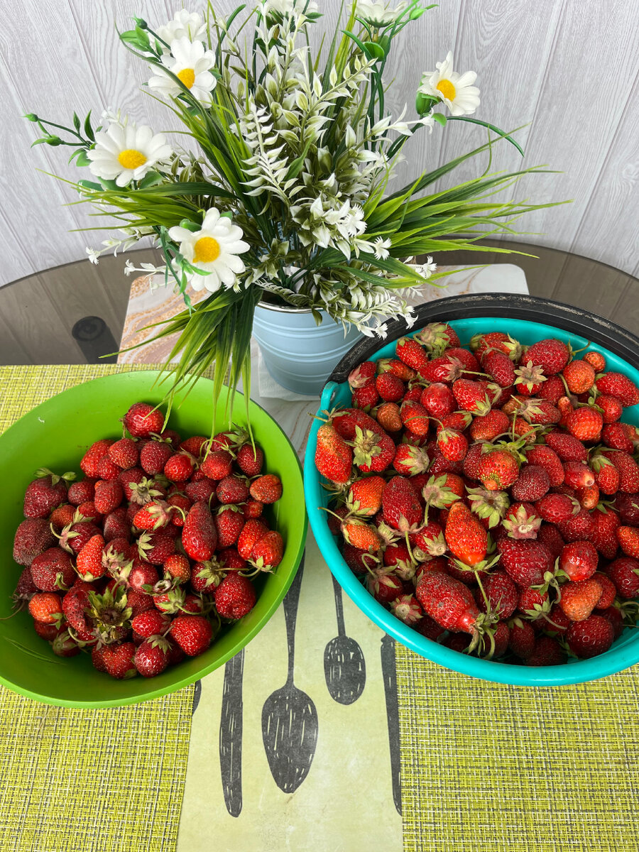 Клубничный день!👍🍓🍓🍓 | Мажорка на пенсии | Дзен