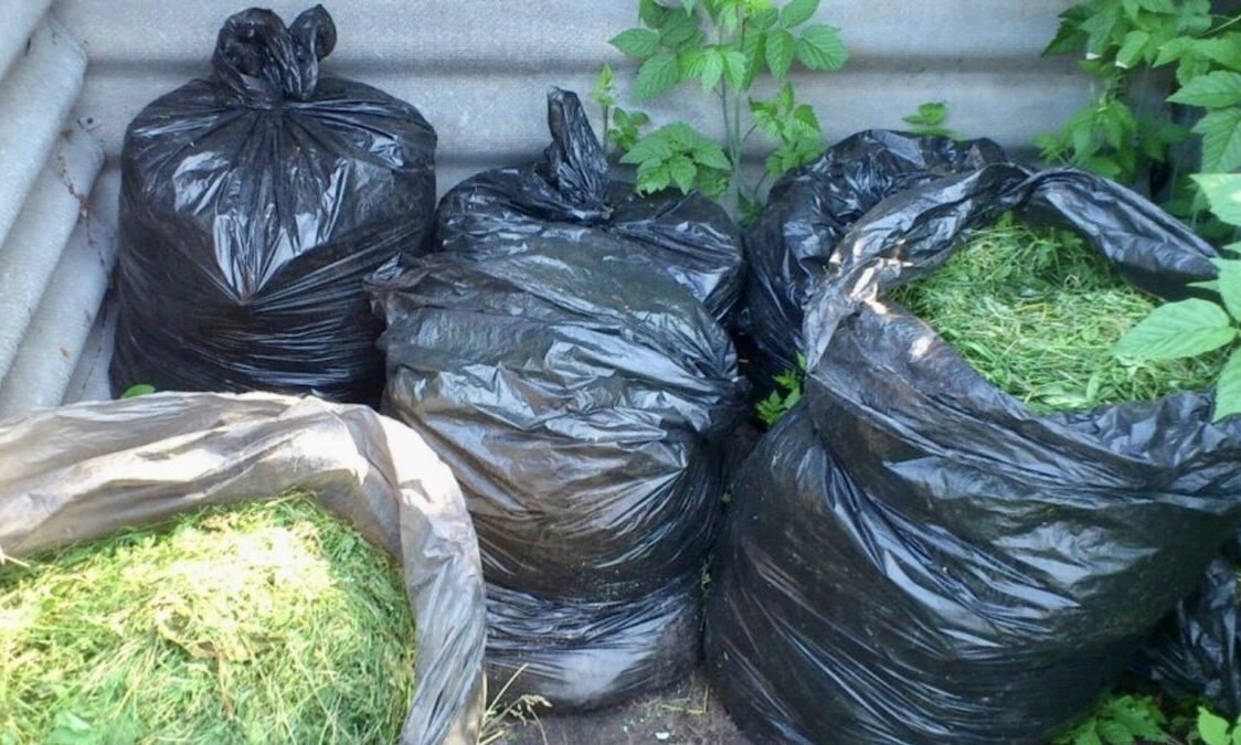 Яндекс картинка